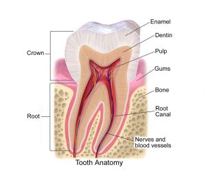 sensodyne toothpaste cavity